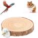 Round Wooden Bird Perch Platform - Cork Seating Board for Parrots & Nymphensittich - 8cm Bird Cage Stand - Buy Online on GoSupps.com