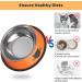 Legendog 3PCS Stainless Steel Pet Bowl Set with Non-Skid Base and Food Scoop - Multicolor - Buy Online on GoSupps.com