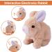 ZBATHTOY Jumping Rabbit Toy for 0-36 Months | Interactive Electronic Toy for Kids | Ideal Gift for Boys and Girls Ages 1-5 - Buy Online on GoSupps.com