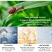 Snail Mucin Essence 98 Snail Mucin Snail Mucin Serum Snail Mucin 98% Power Repairing Essence Skin Repair Face Serum Hyaluronic Acid Essence with Snail Secretion Filtrate for Face Dull Skin - Buy Online on GoSupps.com