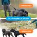 2 in 1 Jogging Leash for Dogs | Dual Handle Dog Leash & Belly Belt for Large & Medium Dogs | Pink | Perfect for Jogging & Hiking with Two Dogs - Buy Online on GoSupps.com