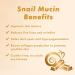 TONYMOLY 24K Snail Hydrating Serum Mist | 92% Snail Mucin | Best Hydrating Korean Skincare Toner & Moisturizer - Buy Online on GoSupps.com