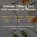 SOME BY MI Propolis B5 Glow Barrier Calming Serum - 1.69oz - Brightening, Calming, Oiliness Control & Breakout Prevention - Facial Skin Care - Buy Online on GoSupps.com