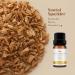 LOXIM Discovery Collection Essential Oil Set - 3 Fragrance Oils for Aromatherapy | 100% Pure Natural Scents - Santal Sparkle Rose Sugar Citrus Pop - Buy Online on GoSupps.com