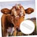 minkissy 3 Pcs Pregnant Tester Cattle High Precision Strips Pumpkin Leaf Bags Sheep Pregnancy Test Strip T Tool Early Pregnancy Farm Animal Supply Test Paper White The Cow Plastic Whitex3pcs 1 count (Pack of 1) - Buy Online on GoSupps.com