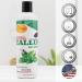 SPA REDI Callus Remover Gel - Mint & Eucalyptus 12 Oz - Professional Foot Care for Toughest Calluses - Smooths Dry Cracked Heels - Buy Online on GoSupps.com