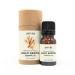 Palo Santo Essential Oil - 100% Pure & Natural Organic Undiluted for Aromatherapy Hair Skin Diffuser (0.33oz - 10ml)
