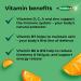 Berocca Immuno Gummy Vitamins - Orange Flavour with Immune-Boosting Nutrients - 60 Chewable Gummies - Buy Online on GoSupps.com