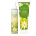 Pacifica Beauty Tahitian Gardenia Body Butter + Tahitian Gardenia Hair & Body Spray | Smells like Gardenia | 100% Vegan and Cruelty Free | Clean Body Lotion and Fragrance Tahitian Gardenia Body Butter + Hair & Body Spray