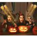 14 Piece Halloween Gel Filter Set | Colored Overlays Correction | 11.7x8.3 Inches | Orange Transparent Color Film Sheets - Buy Online on GoSupps.com