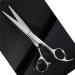 Dog Grooming Striaght Shears Pets Grooming Straight Scissors Made of Japanese Stainless Steel 6.7 Inch Lightweight Fashionable and Durable for Groomers - Buy Online on GoSupps.com