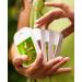 Touchland Power Mist Hand Sanitizer Spray - Blossom - 3 Pack - Buy Online on GoSupps.com