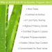 Aloe Life Aloe Gold Tablets - Immune Support & Digestive Health - Certified Organic Aloe Vera - 90 Tablets - Buy Online on GoSupps.com