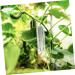 Yardwe 4pcs Shaped Fruit Vegetable Shaping Shaper Small Fruit Multifunction - Buy Online on GoSupps.com