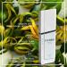 Lomani Lomani Lomani white intense by lomani for men - 3.3 Ounce edt spray 3.3 Ounce - Buy Online on GoSupps.com