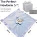 BUSHBABY 'A New Star is Born' Baby Comfort Blanket in Box | Blue Baby Gift Set for Boys | Plush Teddy Security Blanket for Newborns | Soft Toy for Babies - 10cm - Buy Online on GoSupps.com