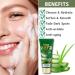 Aloe Vera Exfoliating Scrub Cleanser Aloe Vera Gel Face Wash Natural Acne Face Wash Face Wash For Men & Women Cream Cleanser For Acne Prone & Oily Skin Face Wash - Soothe Purify Facial Skin Care Green-Aloe Vera - Buy Online on GoSupps.com