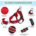 Eyein No-Pull Dog Harness & Leash - Soft Padded Reflective Adjustable for Puppies Small & Large Dogs Cats - XXS Red - Buy Online on GoSupps.com