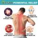 Neviss Organic Hemp Cream 2200 MG - Natural Pain Relief for Muscles, Hips, Joints, Neck, Back, Elbows, Hands, and Knees - Made in USA (2 Fl Oz) - Buy Online on GoSupps.com