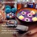 Floral Fragrance Oil Collection - Premium Grade 6-Pack Gift Set for Diffuser, Candle Making, Soap, Slime & Aromatherapy - Jasmine, Vanilla, Freesia, Lily, Rosemary - 10ml Bottles | Floral Organic Scents - Buy Online on GoSupps.com
