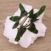 Gadpiparty 2 1 Clip on Flowers for Decoration Bands for Womens Hair Rose Headband Rose Hair Barrettes Rose Pin Ornaments Red Jewels Rose Flower Brooch Pin Headgear Miss White Artificial - Buy Online on GoSupps.com