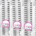 Lash FX Long Silky Mink Cluster Lashes - Buy Online on GoSupps.com
