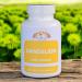 Dandelion Root Powder Capsules (500mg) - 480