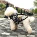 Buy Waterproof Dog Vest & Coat - Warm Winter Harness in 9 Colors | Soft Camouflage Options - Buy Online on GoSupps.com