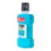 Buy Listerine Menthol 1 000 ml - Fresh Breath & Oral Health | International Shipping Available - Buy Online on GoSupps.com
