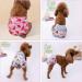 3 Pack Reusable Dog Diapers - Hygienic High-Suction Pet Diapers for Female Dogs - Eco-Friendly Solution - Buy Online on GoSupps.com