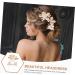 FOMIYES 1 Set Leaves and Flowers Hair Comb Bride Hair Comb Hair Accessories for Bridesmaids Headpiece for Wedding Decoration Flower Hair Accessories Flower Hair Pin Flower Hair Combs - Buy Online on GoSupps.com