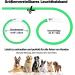 Nepfaivy Luminous Waterproof Dog Collar - USB Charging Adjustable Length LED Safety Light for Dogs - Green Silicone with 3 Lighting Modes - Buy Online on GoSupps.com