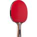 Spindragon Apex Carbon Professional Ping Pong Paddle - Dual Offensive Rubber & Carry Case - Enhance Your Game & Win Matches - Buy Online on GoSupps.com