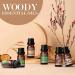 Men's Essential Oils Set - 6 Manly Fragrance Oils for Home Diffusers - Frankincense, Teakwood, Sandalwood, and More - Aromatherapy & Candle Making - Buy Online on GoSupps.com