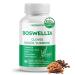 Boswellia with Cloves Ginger Turmeric Vitamin C Hyaluronic Acid MSM Devil's Claw Supports Joint Health Digestive Wellness* & Nutrient Absorption* Made in The USA 150 count (pack of 1)