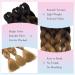 Tess Braids Extensions | 60 cm Jumbo KanCalon Ombre Brown Hair Extensions | 100g Braid Box Braids (1 Piece - #53) - Buy Online on GoSupps.com