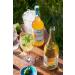 Buy Inge Ginger Syrup - Handmade Bavarian Fruit Ginger Syrup with Natural Spiciness | International Shipping Available - Buy Online on GoSupps.com