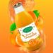 Valle del Crati Clementine Juice 100% Pure No Added Sugars and No Colourings or Preservatives Delicious and Refreshing Juice 6 bottles of 720ml - Buy Online on GoSupps.com