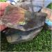 Crystal Rough Natural Crystal Rough Stone Crafts Natural Heavy Flash Labradorite Crystal Gemstone Slice Metaphysical Crystal - Buy Online on GoSupps.com