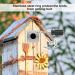 12PCS Bird Nest Box Protection Plates 32mm Wild Bird Boxes Garden Small Birds Metal Plate Birdhouses Bird Houses Robin Nest Box Sparrow Nest Box Owl - Buy Online on GoSupps.com