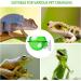 MEISH 3 Pieces Reptile Food Water Bowl Suction Cup Reptile Feeder Anti-Escape Reptile Food Bowl for Lizard Chameleon Gecko - Buy Online on GoSupps.com