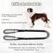Buy Lollanda Black Walking Aid for Dogs | Support Sick & Older Dogs | Enhance Mobility with Durable Dog Dishes & Carrying Aid - Buy Online on GoSupps.com