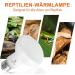Repti Home 75W Reptile Heating Lamp - 2 Pack | Ideal for Turtles Lizards Snakes & Amphibians - Perfect Terrarium Heat Source - Buy Online on GoSupps.com