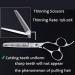 Dream REACH Professional Hair Scissors - 15.2 cm Japanese 440C Steel Thinning Shears for Salon & Home Use | Unisex Hair Cutting Tools - Buy Online on GoSupps.com