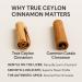 LIRAE Ceylon Cinnamon - 300 Softgels 7200mg Equivalent with MCT Oil Highly Bioavailable Herbal Supplement Made with True Ceylon Cinnamon Non-GMO Gluten Free Gentle Daily Support (1) - Buy Online on GoSupps.com