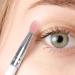 CANIGHT 10pcs Eye Shadow Brush Lip Brush Tool Eye Blending Brush Eye Makeup Tool Cosmetic Plastic Handle - Buy Online on GoSupps.com
