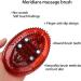 Cellulite Body Massager Brush - Handheld Meridians Massage Brush for Whole Body Relaxation - Buy Online on GoSupps.com