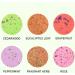 1 Set Shower Steamers Aromatherapy Bath Bombs 30g Colorful Shower Steamers with Multiple fragrances Shower Bombs Natural Essential Oils Bath Bomb Set - Buy Online on GoSupps.com