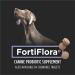 Purina Pro Plan Veterinary Supplements FortiFlora Dog Probiotic Supplement Canine Nutritional Supplement - (6) 30 ct. Boxes 30 g (Pack of 6) Standard Packaging - Buy Online on GoSupps.com