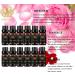 Pure Aromatherapy Essential Oil Set - Vanilla Rose Jasmine Sandalwood & More - 12x10ml Therapeutic Grade Diffuser Oils for Home - Buy Online on GoSupps.com